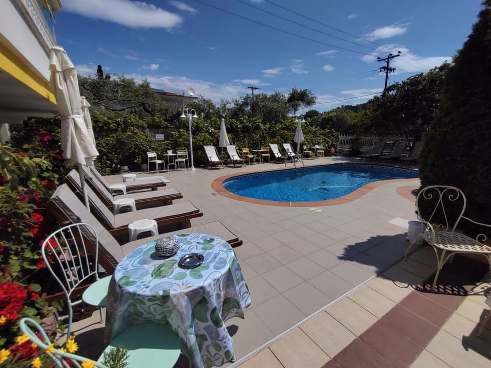 Pool view, Swimming pool, sunbed