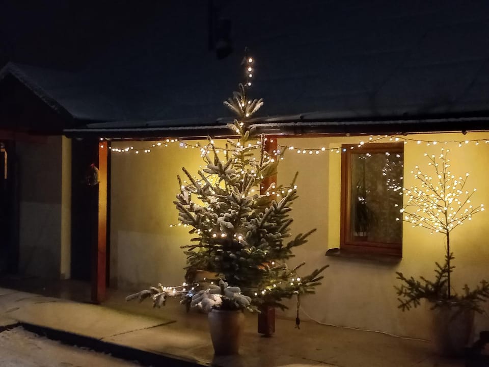 Night, Winter, View (from property/room)