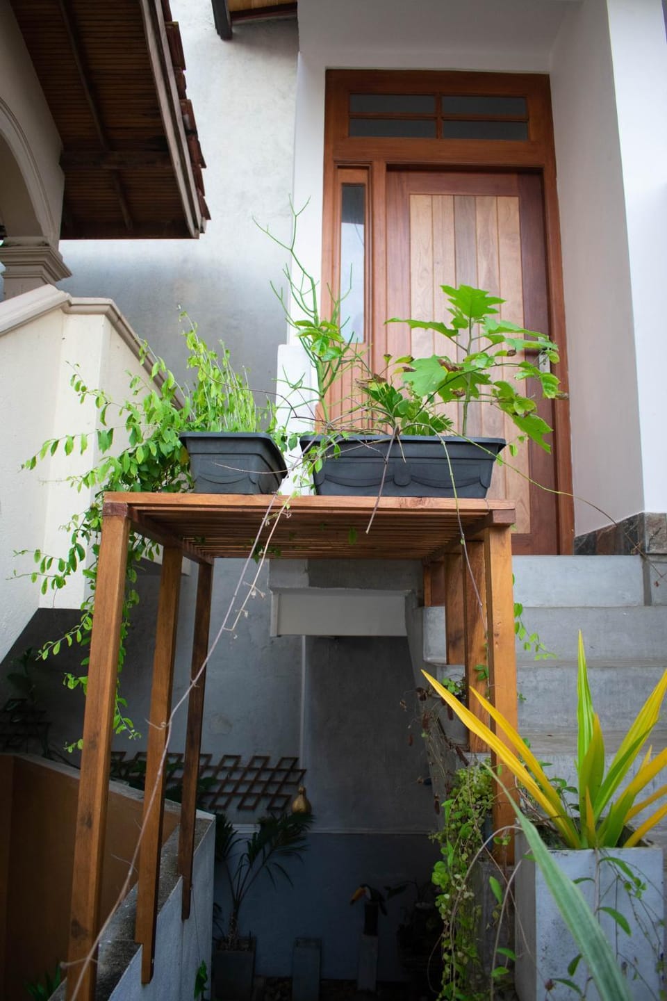 Piccolo Villa Apartment in Hikkaduwa