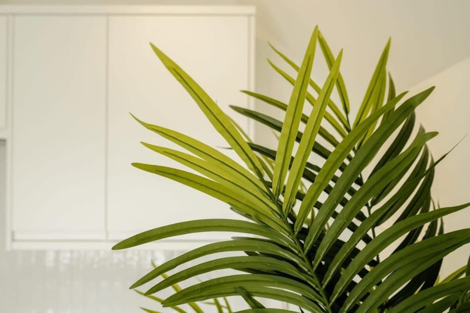 Grange Rd Flat 5 one bedroom Apartment in Bristol