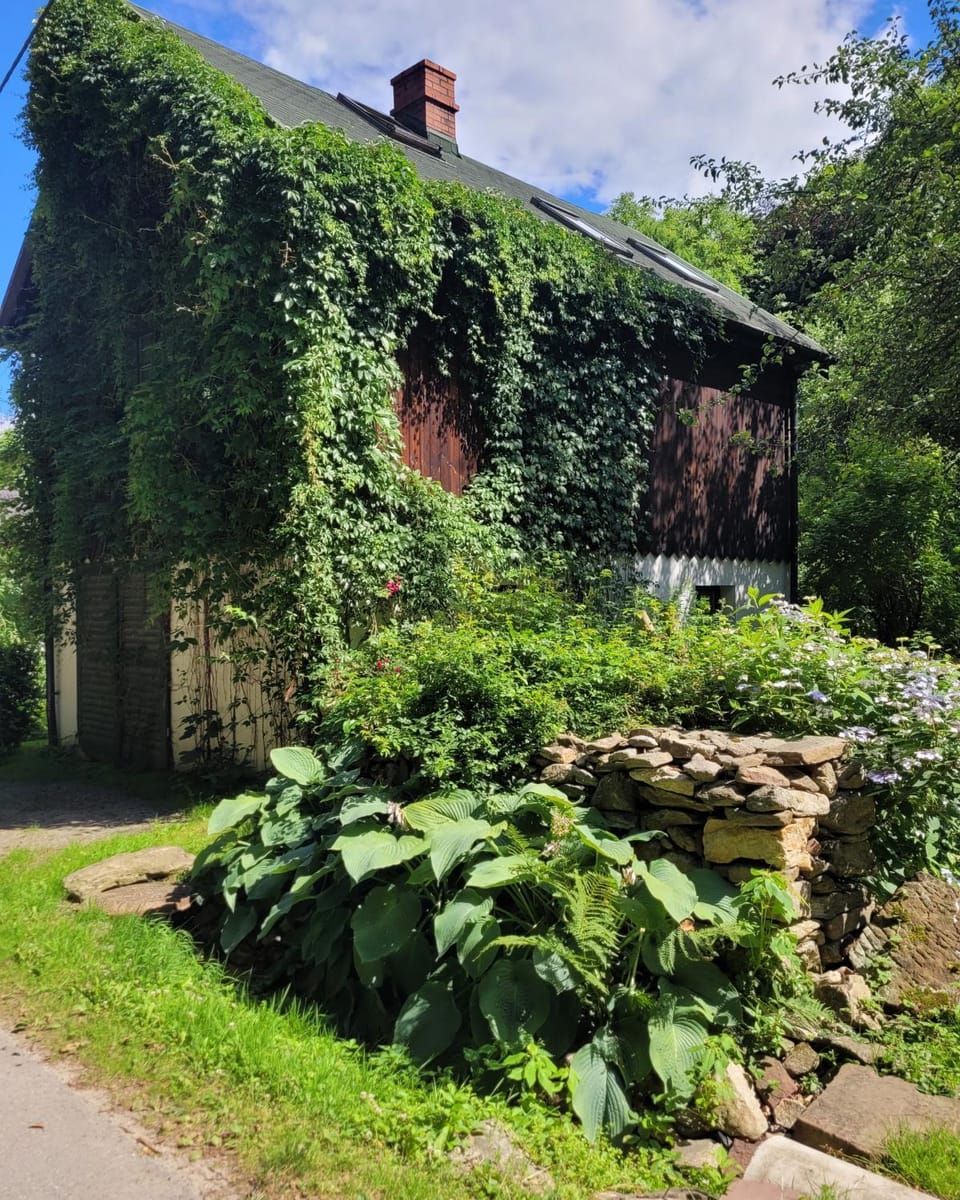 Jemna 55 House in Lower Silesian Voivodeship