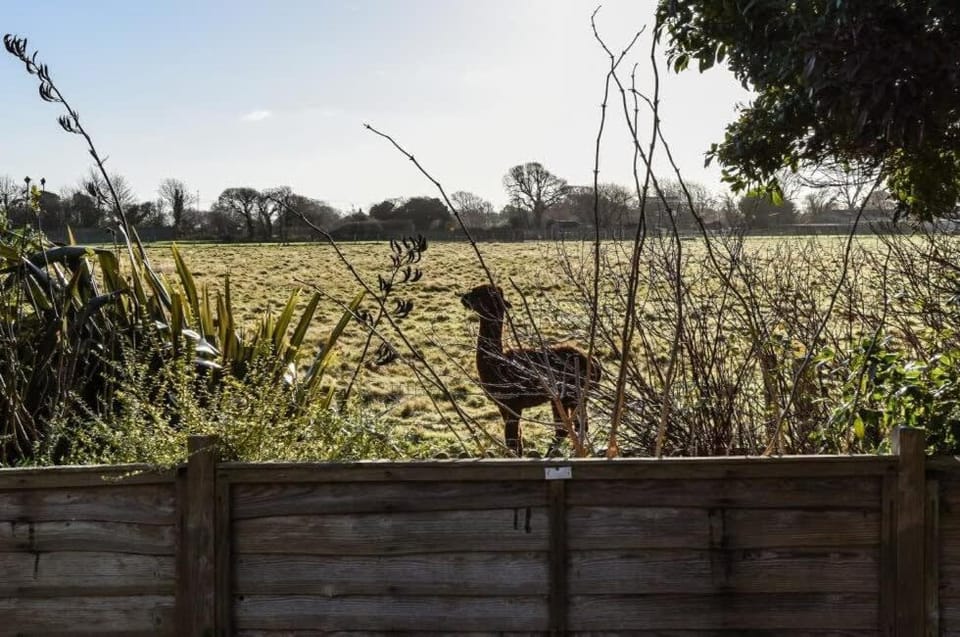 3bd Family Beach Retreat in West Wittering House in West Wittering