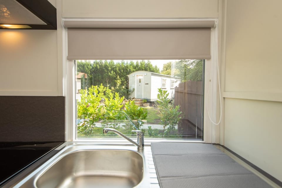 Day, Garden, Garden view