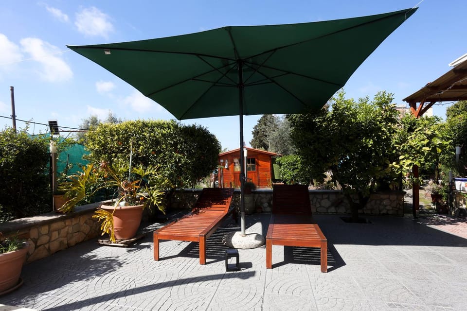Patio, sunbed