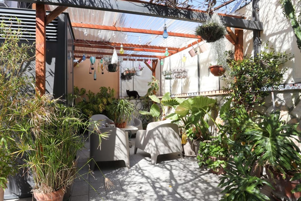 Patio, Garden