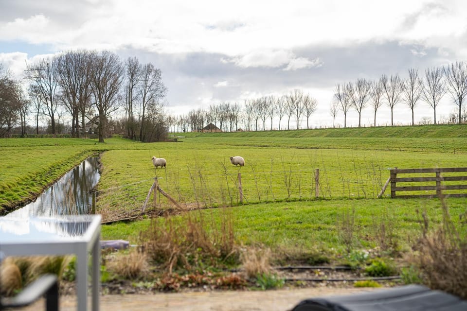 Natural landscape, Garden view