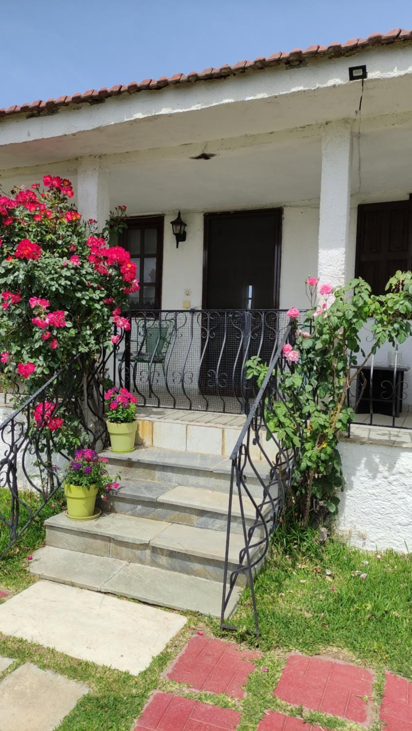 Agios Mamas beach house House in Halkidiki