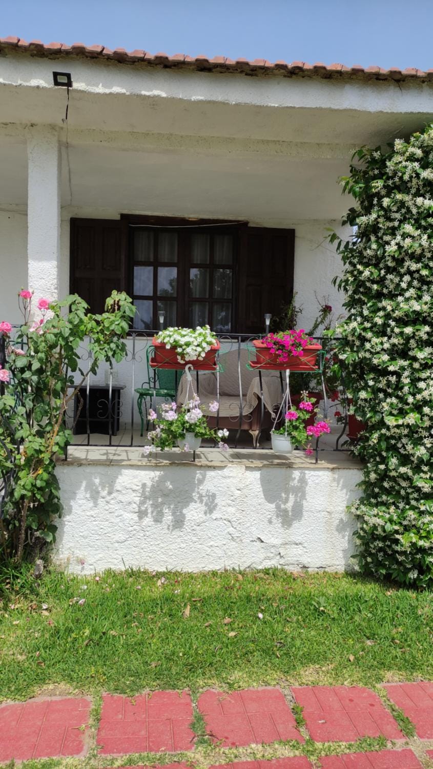 Agios Mamas beach house House in Halkidiki