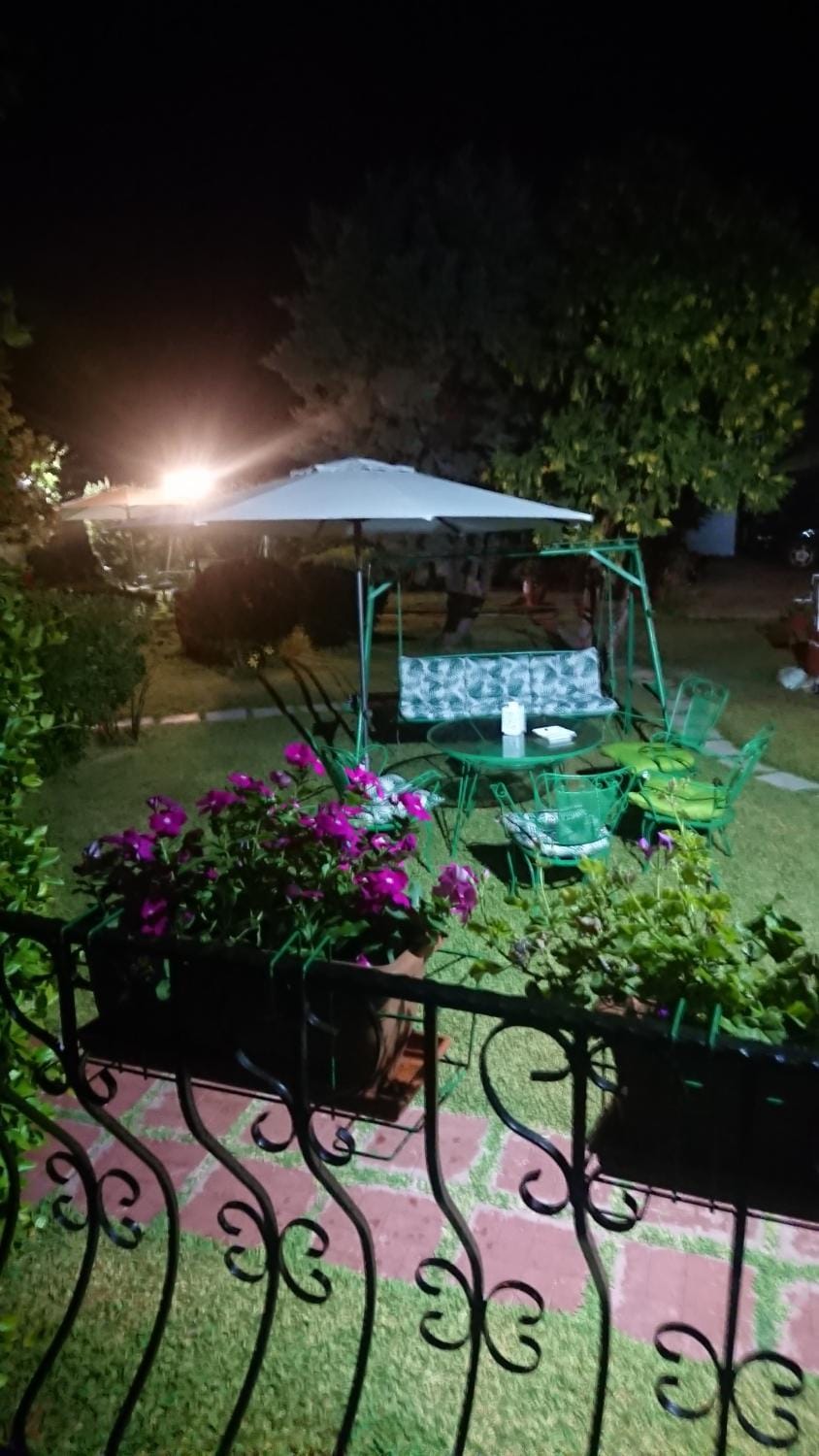 Night, Garden view