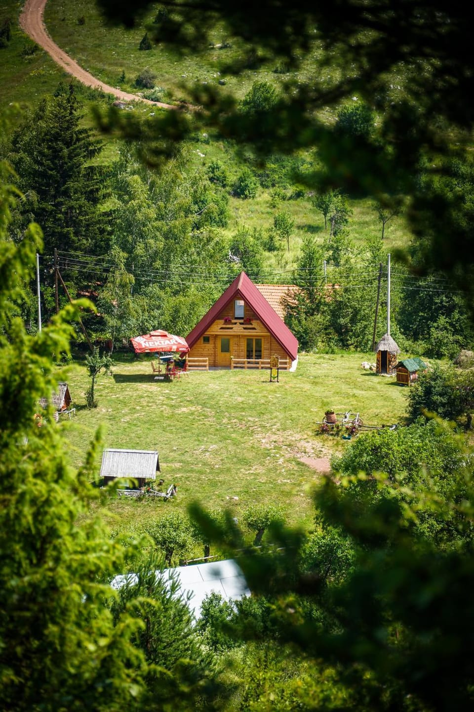 Spring, Day, Natural landscape, Garden, Garden view