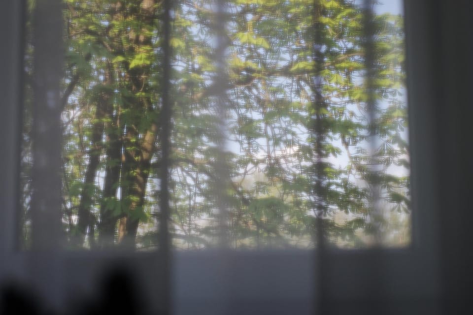 View (from property/room)