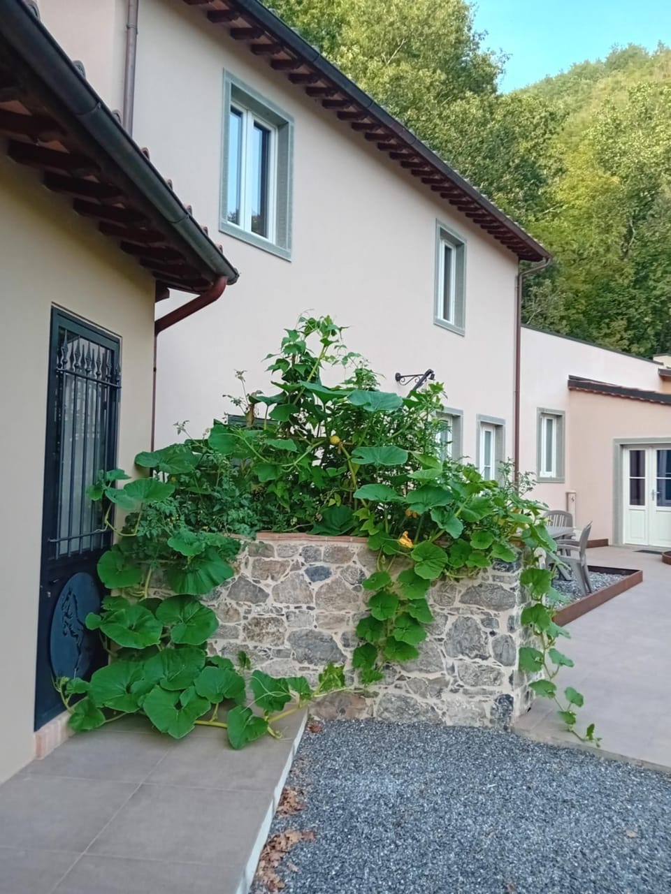 Garden view