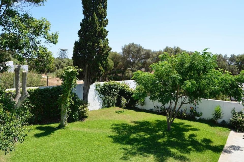 Natural landscape, Garden, Garden, Garden view