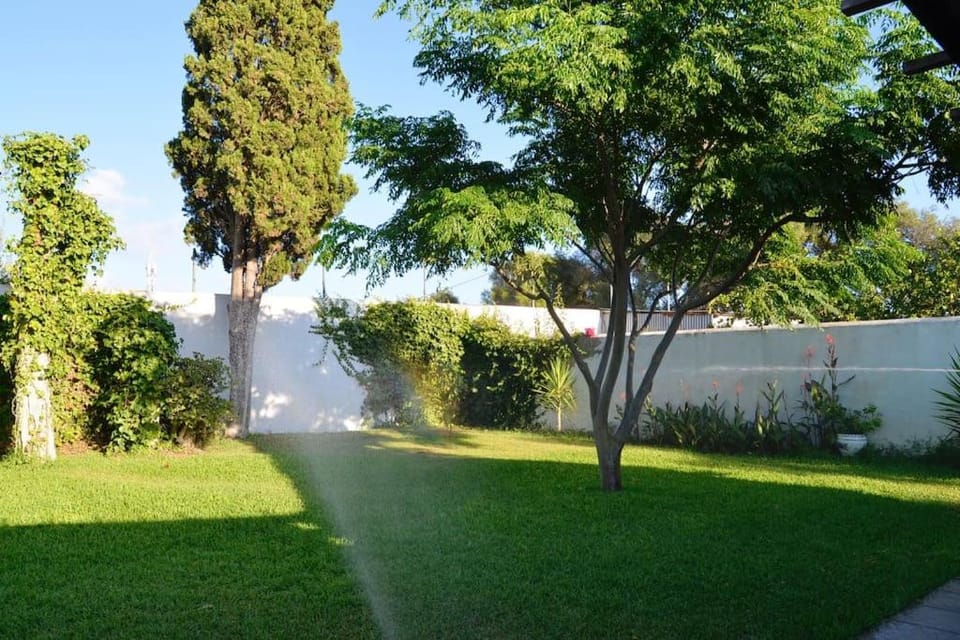 Natural landscape, Garden, Garden, Garden view