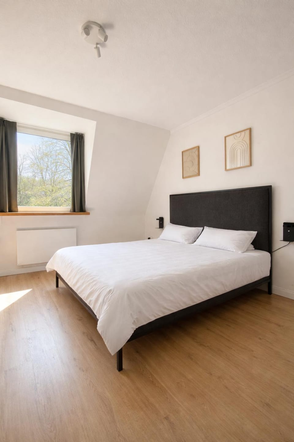 Bed, Photo of the whole room, Bedroom