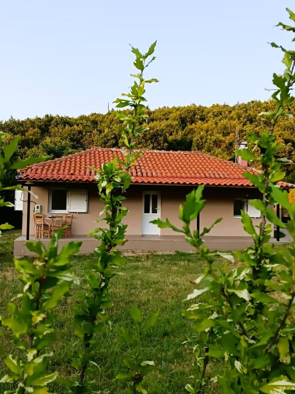 Property building, Natural landscape, Garden, Garden view
