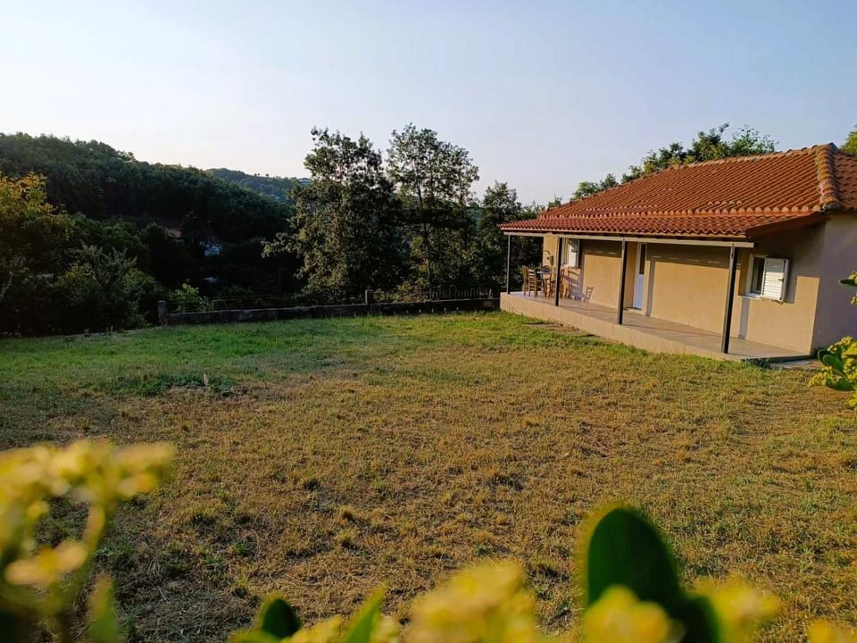 Property building, Natural landscape, Garden