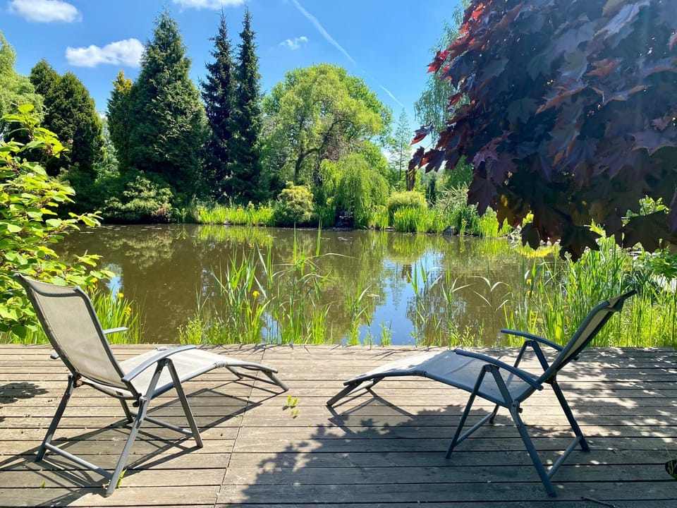 Natural landscape, Garden, Garden view, Lake view, sunbed