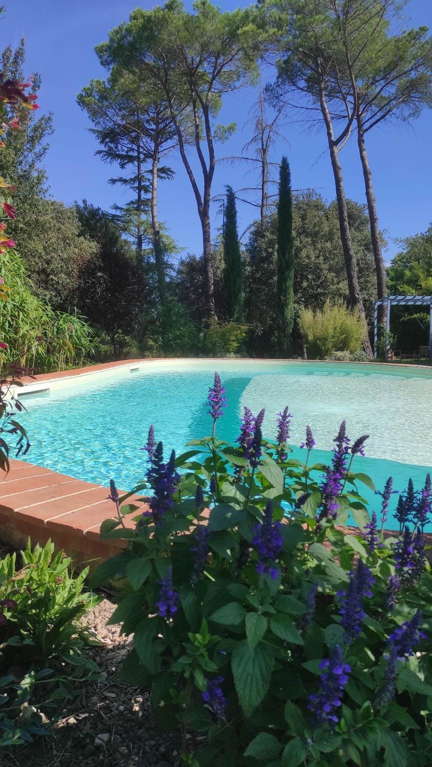 Garden, Swimming pool
