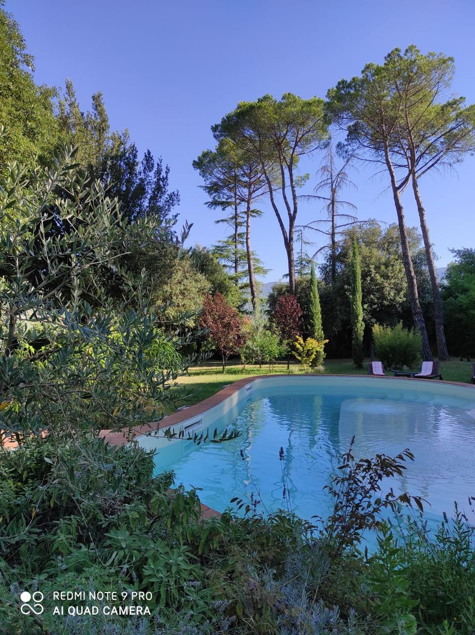 Garden view, Swimming pool