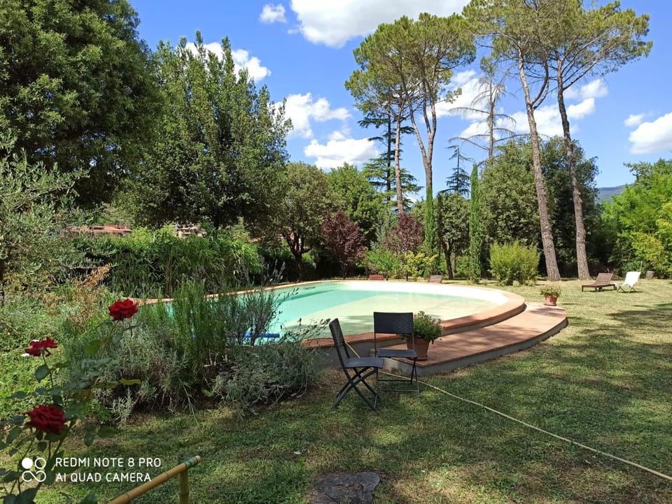 Swimming pool, Swimming pool