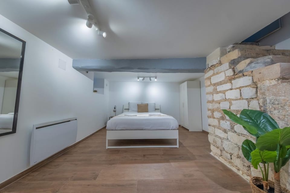Volcano Apartment in Reims
