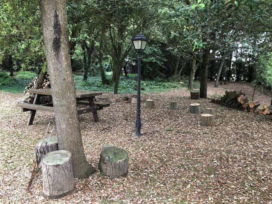 Cabaña de ensueño en el bosque y junto al mar Apartment in Cantabria
