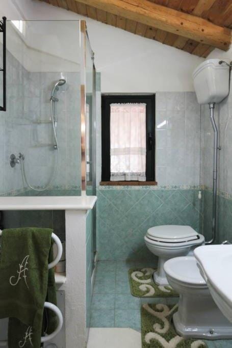Shower, Toilet, Bathroom, bidet
