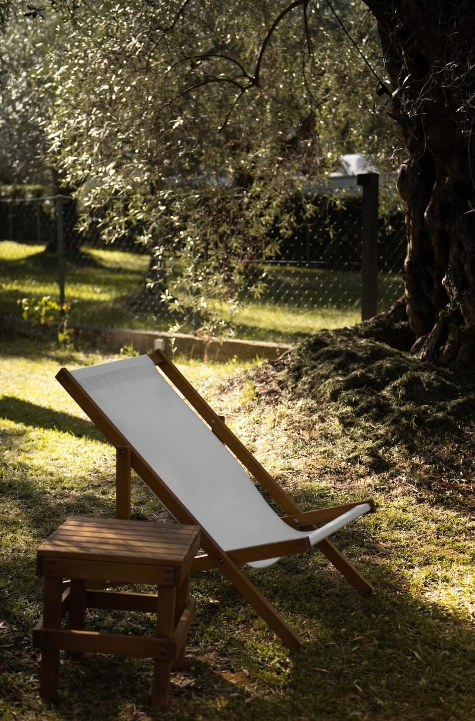 Garden, sunbed