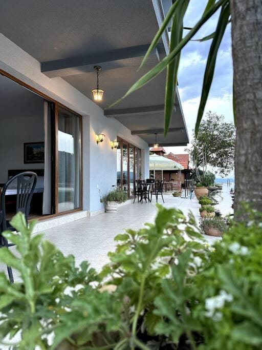 Patio, Balcony/Terrace, Garden view