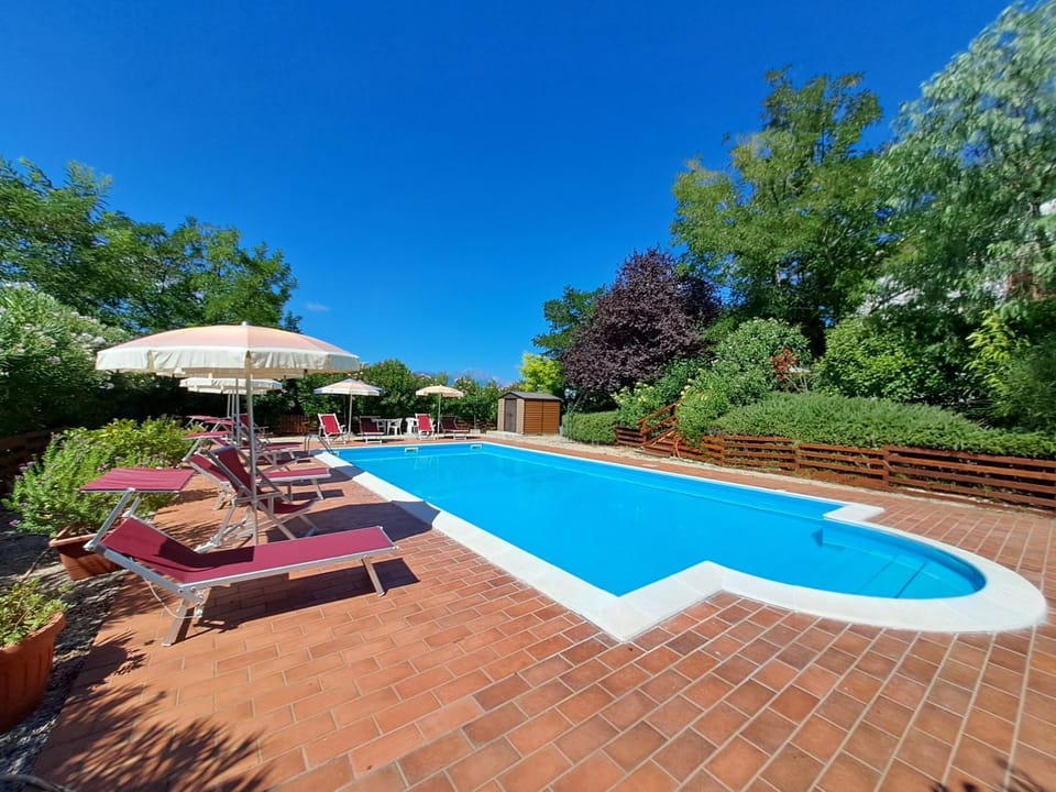 Garden, Garden view, Swimming pool, sunbed