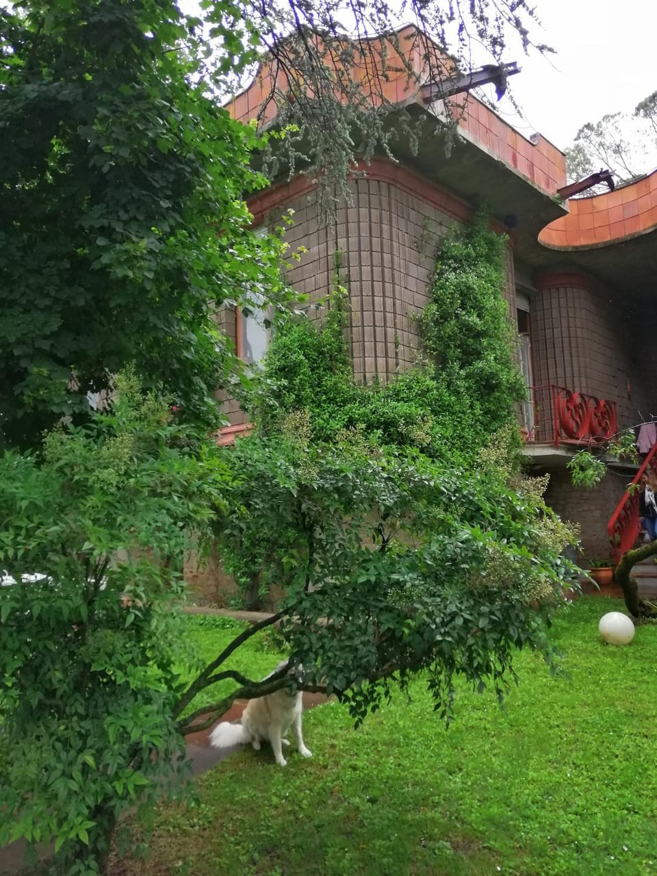 Garden, Garden