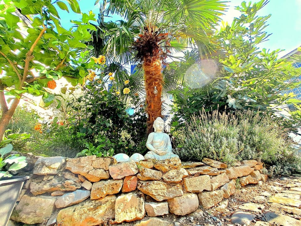 Spring, Day, Garden, Garden view