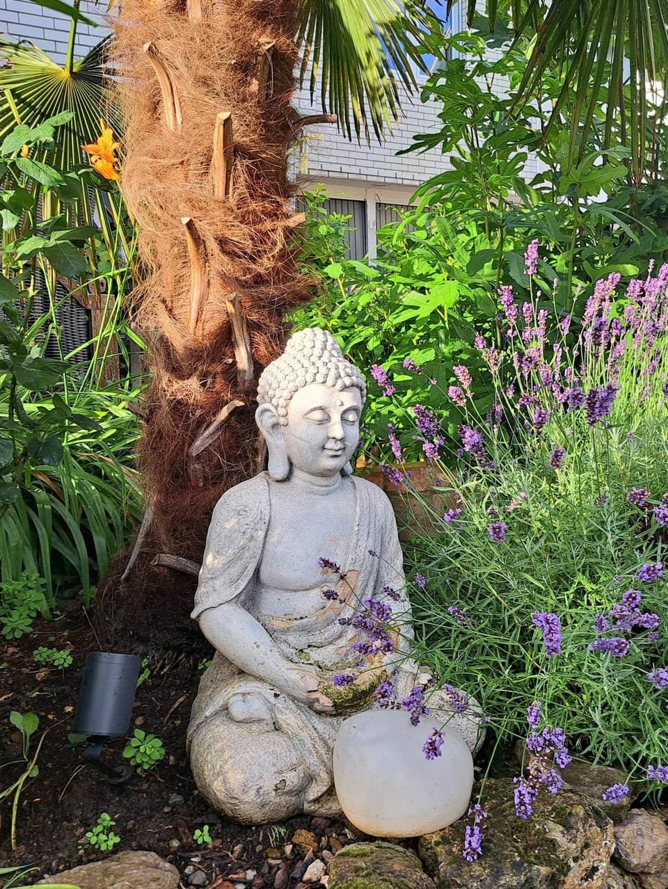 Spring, Day, Garden, Garden view