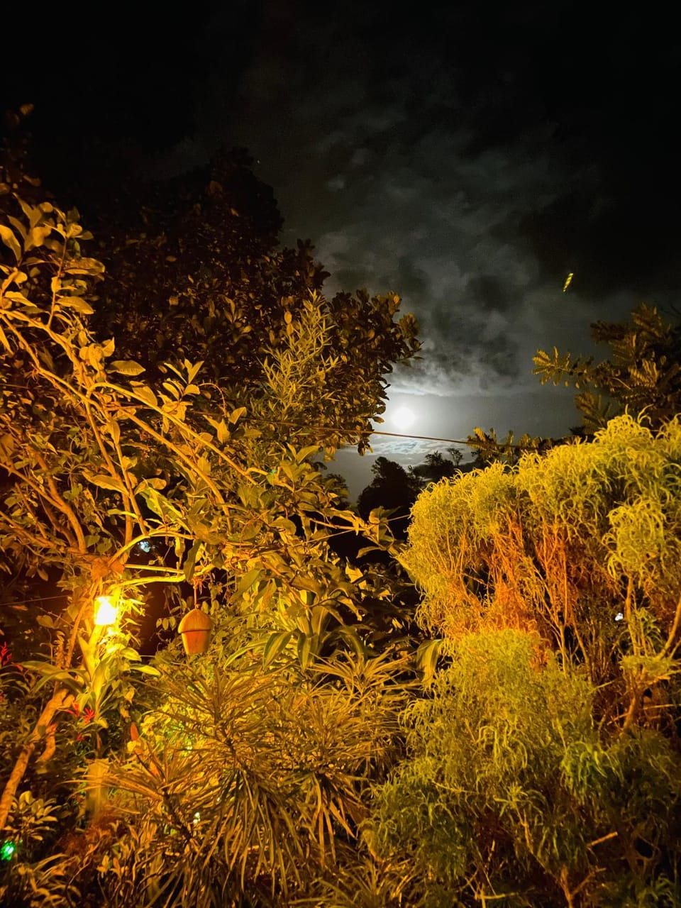 Treetops ella Bed and Breakfast in Uva Province, Sri Lanka