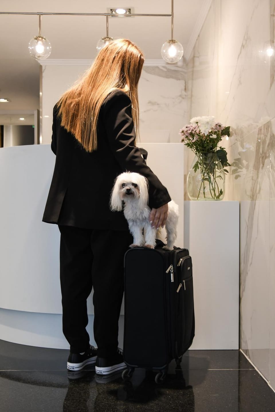 People, Lobby or reception, Pets
