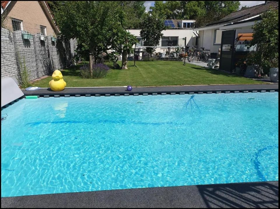 Garden, Pool view, Swimming pool