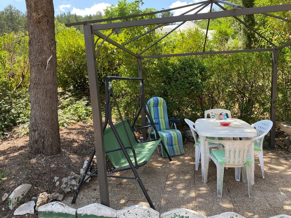 Patio, Garden