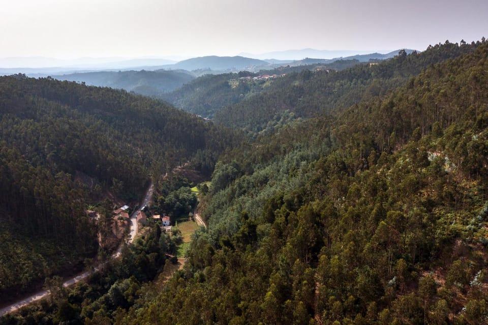 Natural landscape