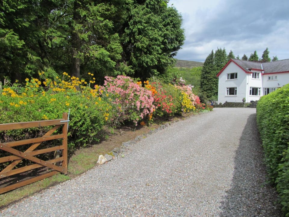 Garden view