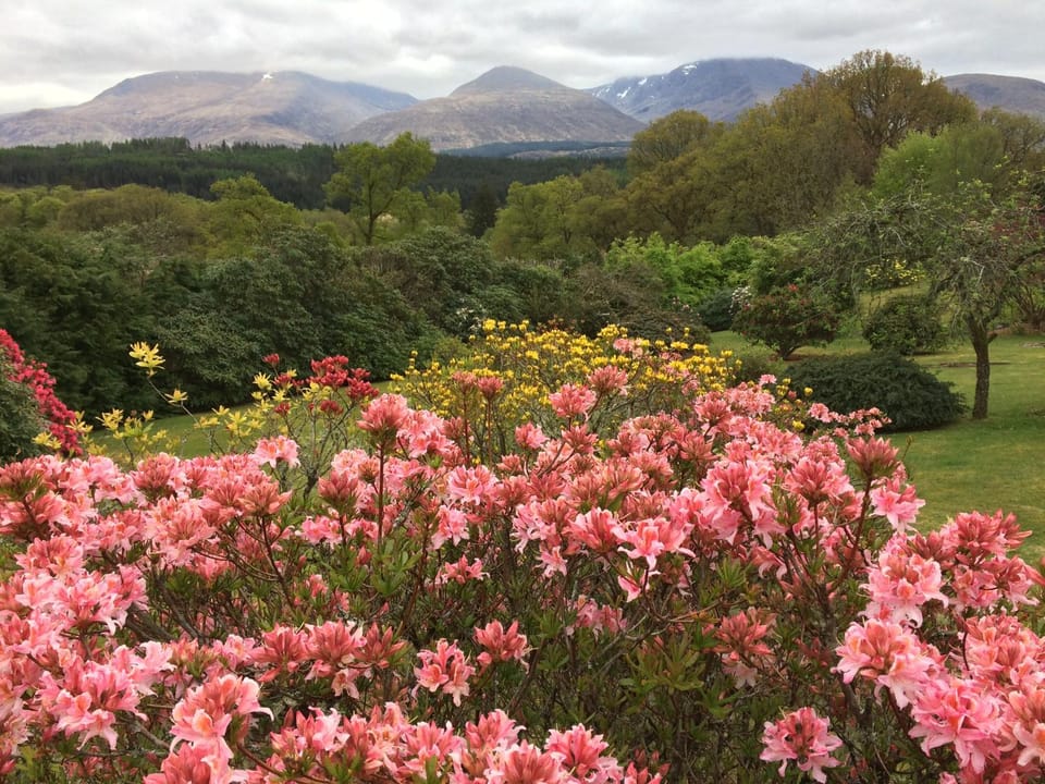 Garden view, Garden view