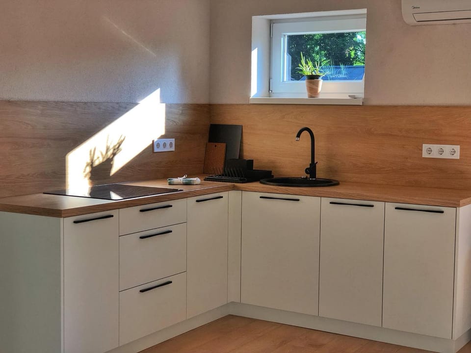 Kitchen or kitchenette, minibar, stove