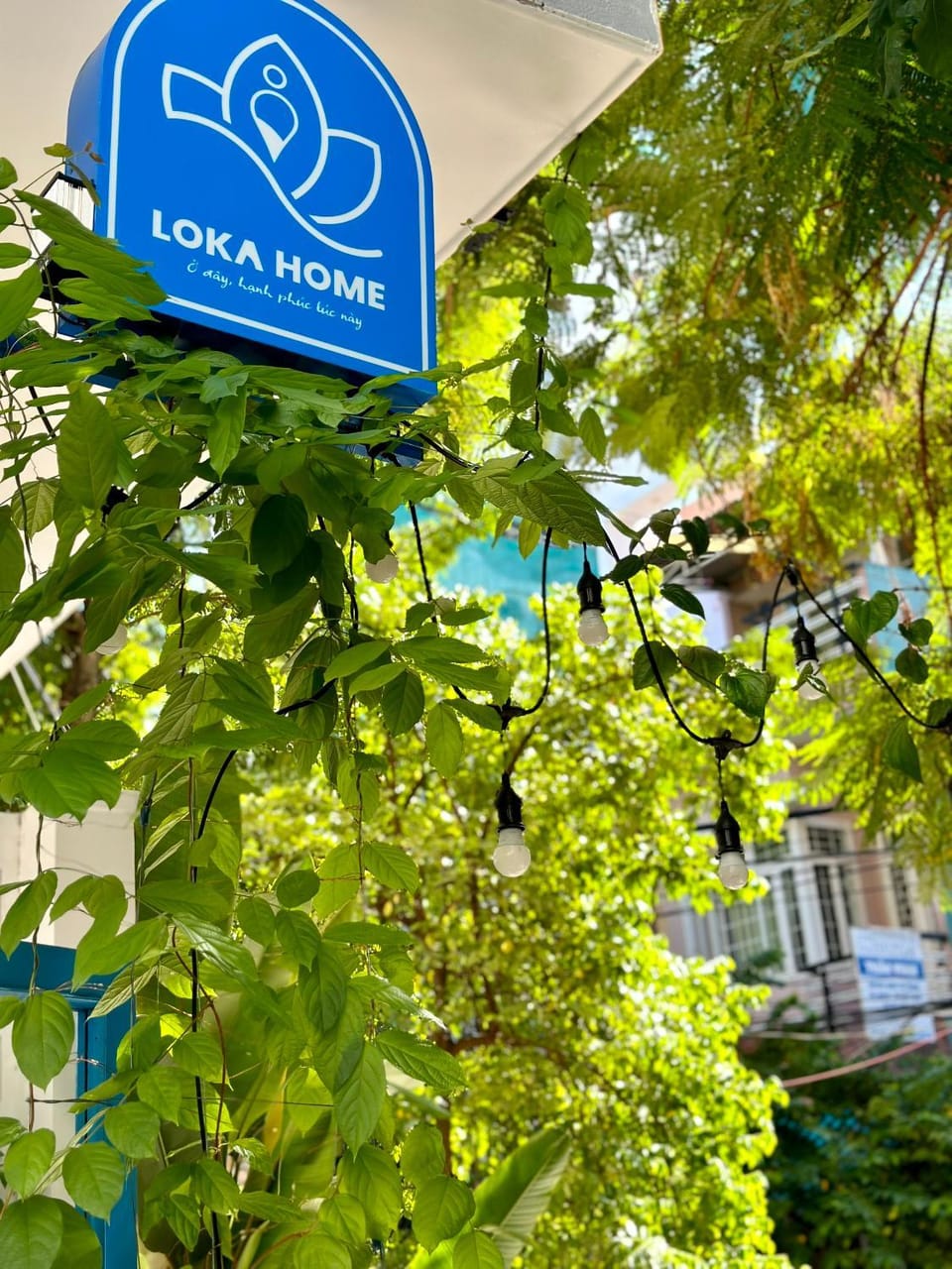 Property building, Spring, Day, Property logo or sign, Garden, Logo/Certificate/Sign, Text overlay, Garden view, Street view, Location
