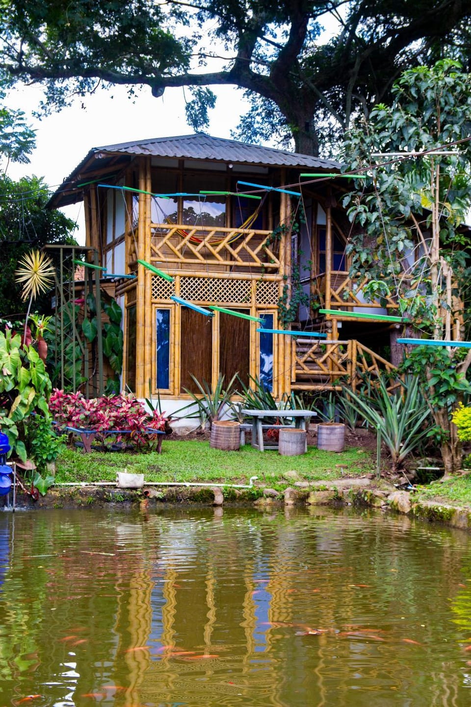 CASA DEL ÁRBOL, Romántico, Piscina, en Chinauta, el mejor clima Hotel in Cundinamarca, Colombia