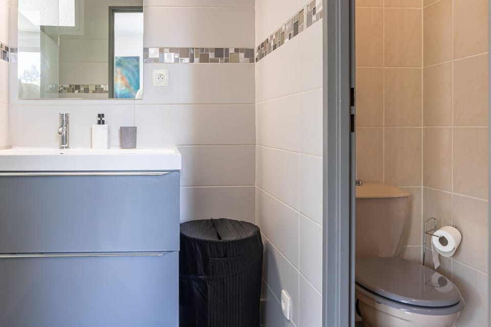 chazi and cosy Apartment in Toulouse