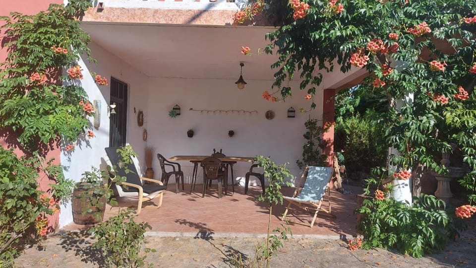 Patio, Balcony/Terrace