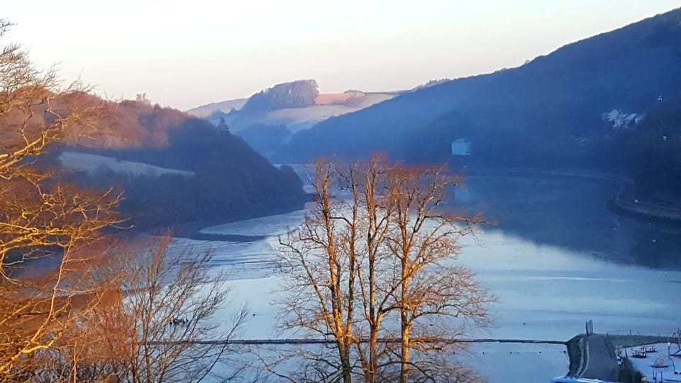 Winter, View (from property/room), River view