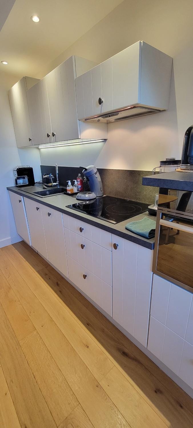 Kitchen or kitchenette, dishwasher, stove