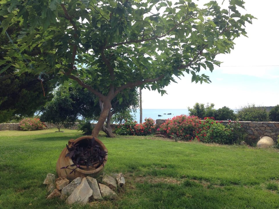 Garden, Decorative detail, Garden view, Sea view