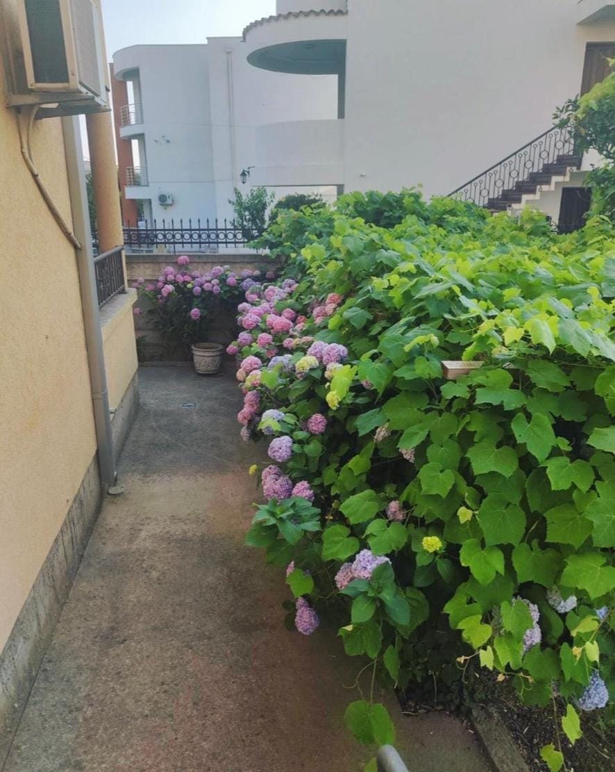Apartmani590 Hotel in Montenegro